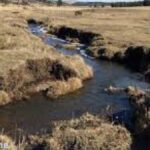 7 Ways to Strengthen Weak Streams and Improve Water Quality