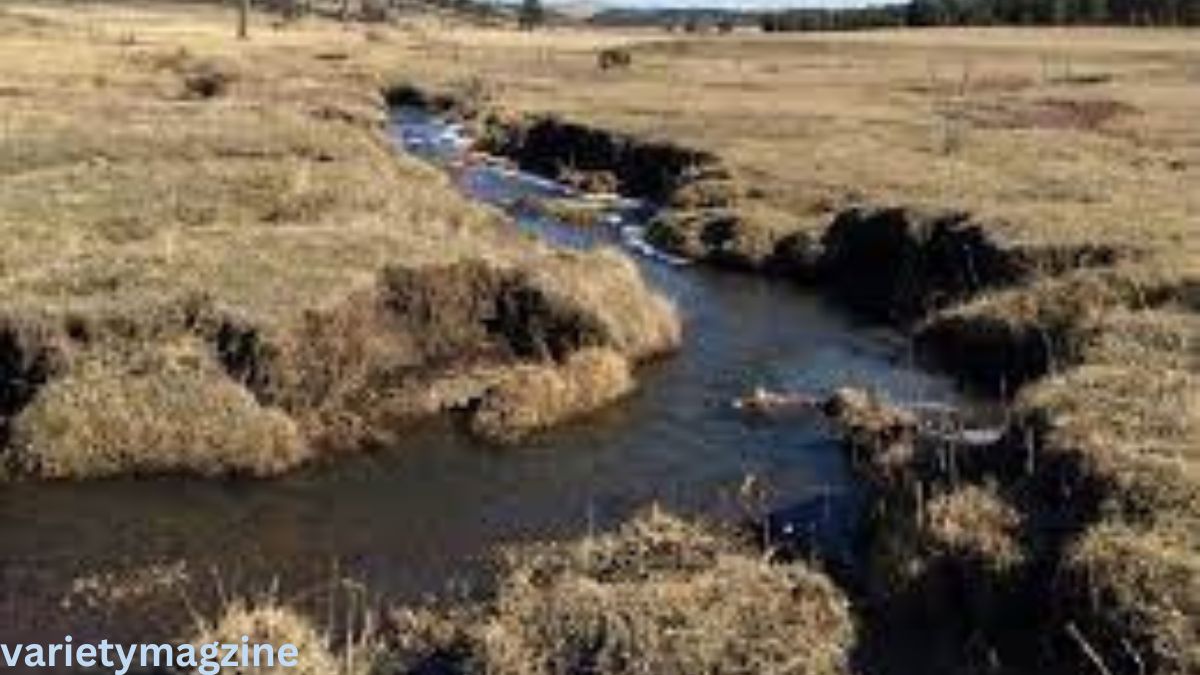 7 Ways to Strengthen Weak Streams and Improve Water Quality