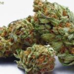 The Ultimate Beginner's Guide to Using HHC Flower